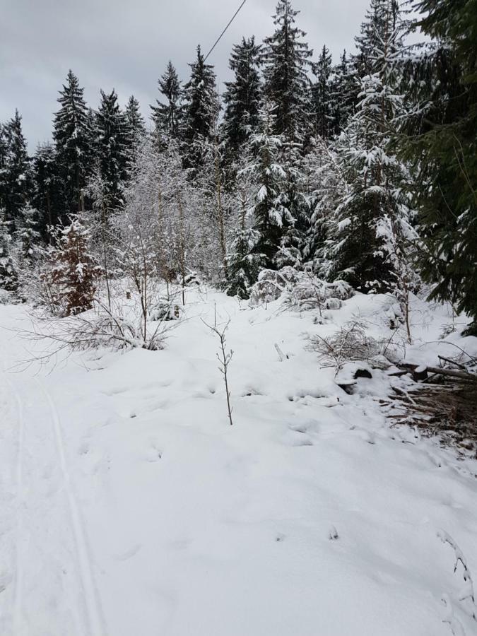 Rosalie - Lake - Hiking&Swimming - Cozy&Nature Winterberg Luaran gambar